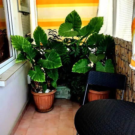 Séjour chez l'habitant Antalyaloft